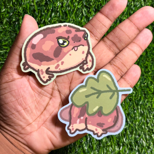 Angry Frog Doodle Sticker Set || Desert Rain Frog || Vinyl Waterproof Stickers