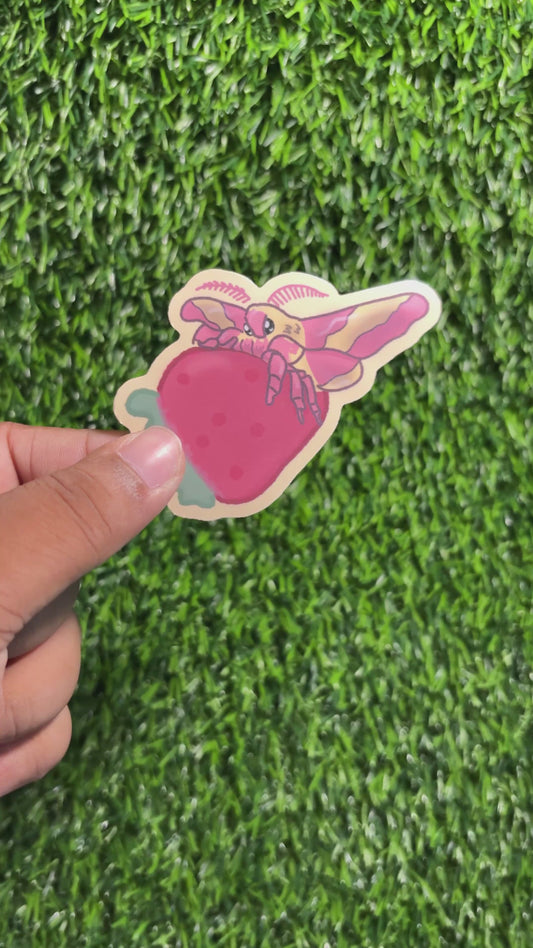 Rosy Maple Moth Sticker || Doodle Art || Vinyl Waterproof Sticker